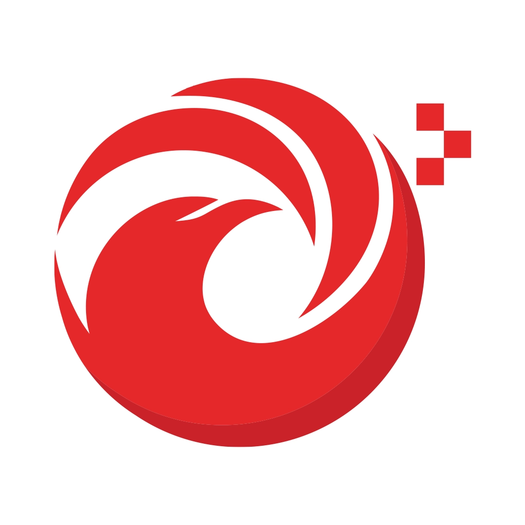 Management Profile